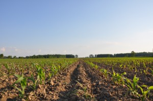 Kevin McComb 5310 400ls vs control on right