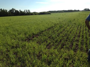 iphone july 20,2014 090